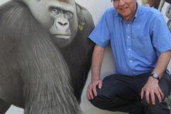 enrico-coen-gorilla-ec79add7d1e54e210994637b380f12599c7e11ef